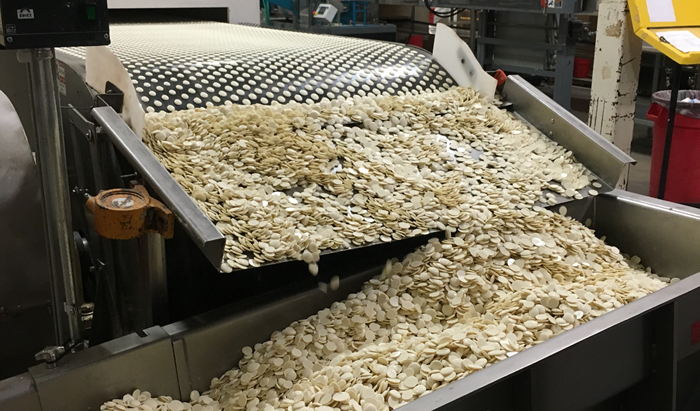 Chocolate Processing