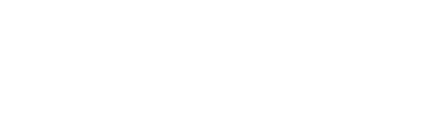 Beltservice Corporation logo