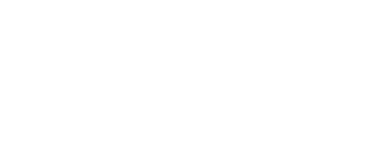Nitta logo